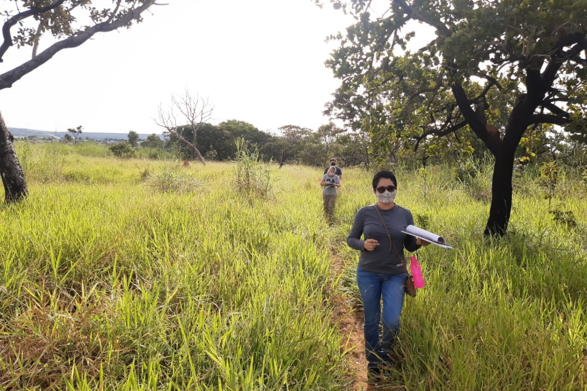 Programa Parque Educador abre inscrições em agosto