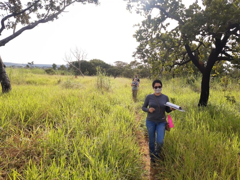 Programa Parque Educador abre inscrições em agosto